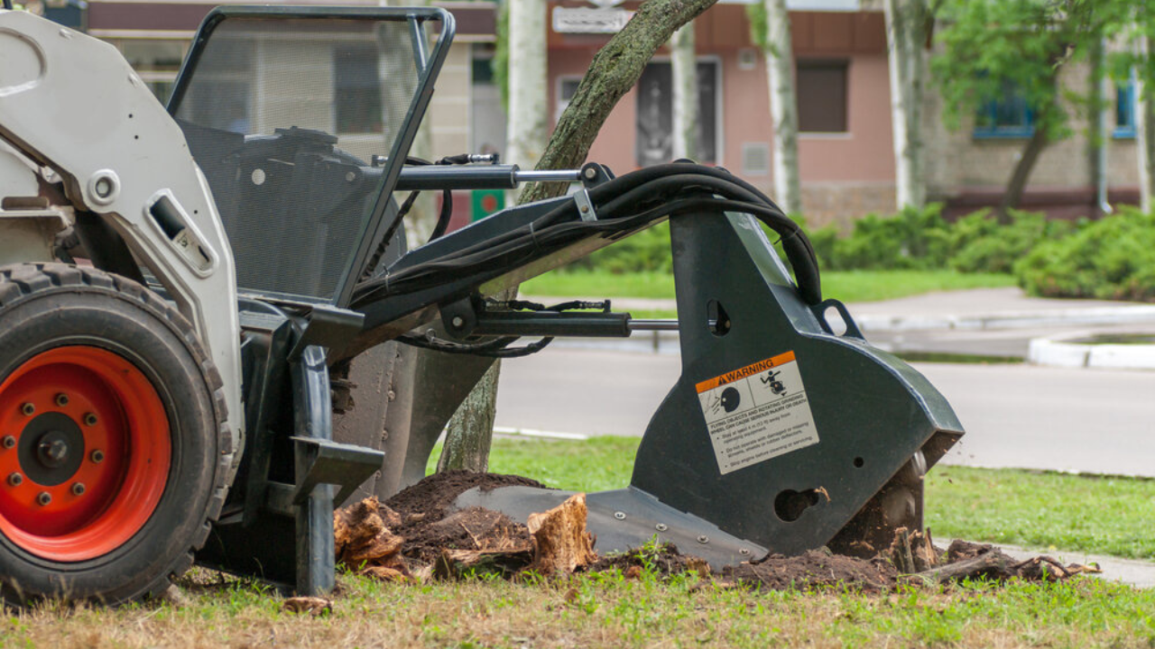 How Stump Grinding Can Help in Land Clearing and Landscaping